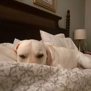 Meet your Posher, Shawna